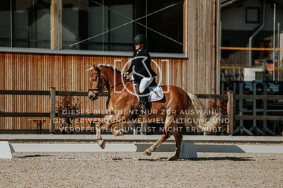 © Niki Buchegger, turnier-fotos.at