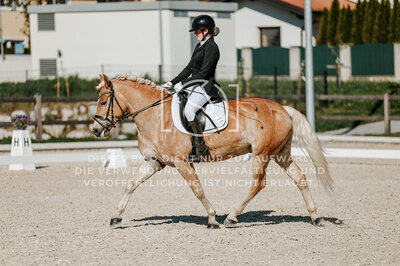 © Niki Buchegger, turnier-fotos.at