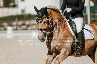 © Niki Buchegger, turnier-fotos.at
