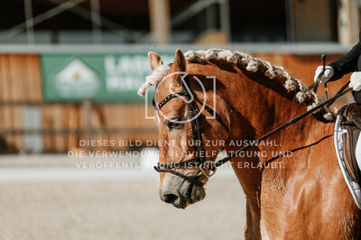 © Niki Buchegger, turnier-fotos.at