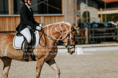 © Niki Buchegger, turnier-fotos.at