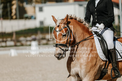 © Niki Buchegger, turnier-fotos.at
