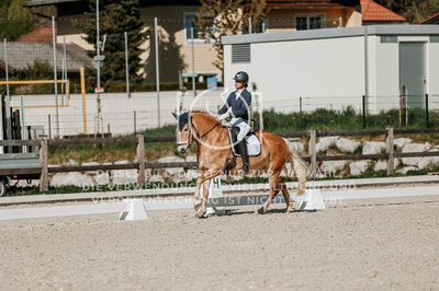 © Niki Buchegger, turnier-fotos.at