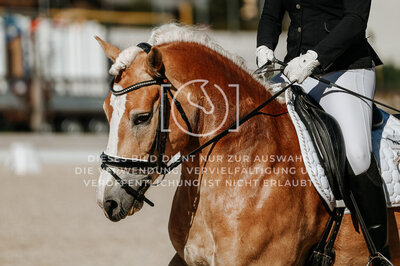 © Niki Buchegger, turnier-fotos.at