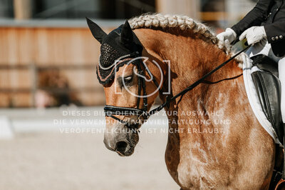© Niki Buchegger, turnier-fotos.at