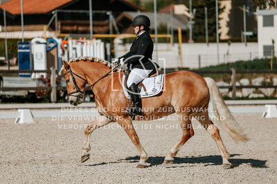 © Niki Buchegger, turnier-fotos.at
