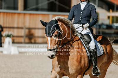 © Niki Buchegger, turnier-fotos.at