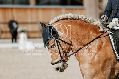 © Niki Buchegger, turnier-fotos.at