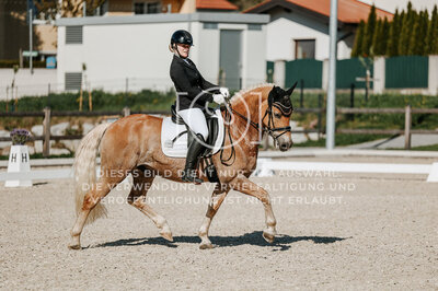 © Niki Buchegger, turnier-fotos.at