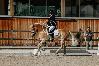© Niki Buchegger, turnier-fotos.at