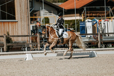 © Niki Buchegger, turnier-fotos.at