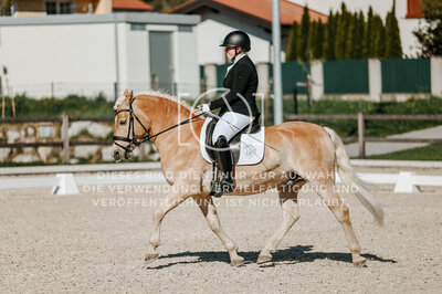 © Niki Buchegger, turnier-fotos.at