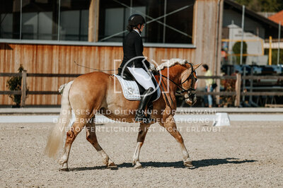 © Niki Buchegger, turnier-fotos.at