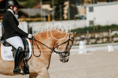 © Niki Buchegger, turnier-fotos.at