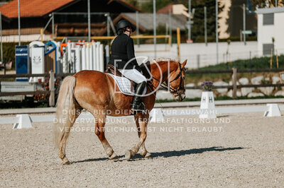 © Niki Buchegger, turnier-fotos.at