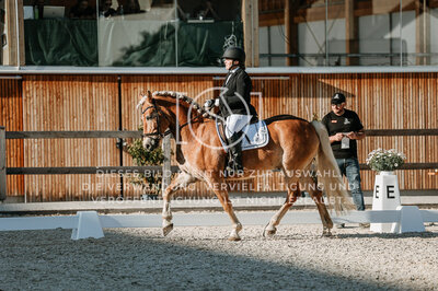 © Niki Buchegger, turnier-fotos.at