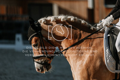 © Niki Buchegger, turnier-fotos.at