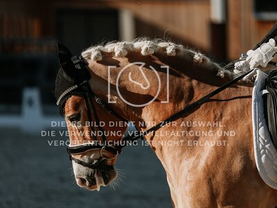© Niki Buchegger, turnier-fotos.at