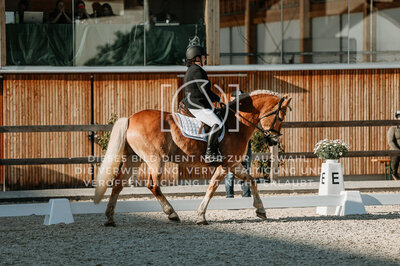 © Niki Buchegger, turnier-fotos.at