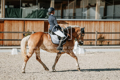 © Niki Buchegger, turnier-fotos.at