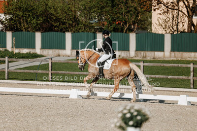 © Niki Buchegger, turnier-fotos.at