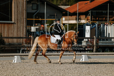© Niki Buchegger, turnier-fotos.at