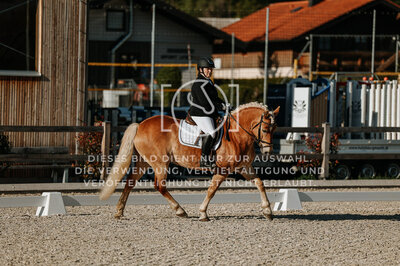 © Niki Buchegger, turnier-fotos.at