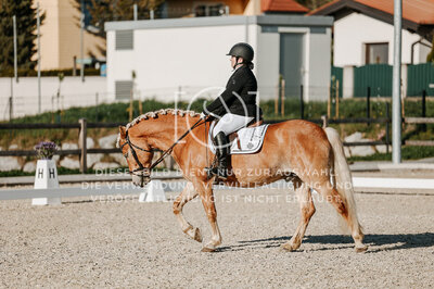 © Niki Buchegger, turnier-fotos.at
