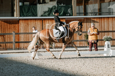 © Niki Buchegger, turnier-fotos.at