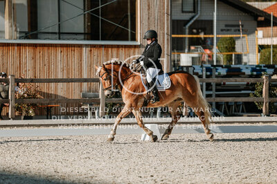 © Niki Buchegger, turnier-fotos.at