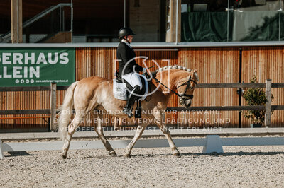 © Niki Buchegger, turnier-fotos.at
