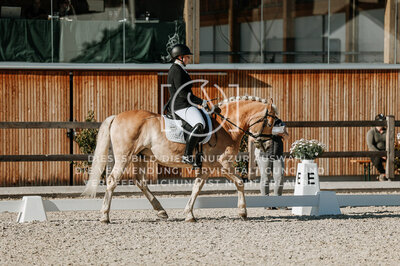 © Niki Buchegger, turnier-fotos.at
