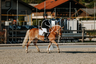 © Niki Buchegger, turnier-fotos.at