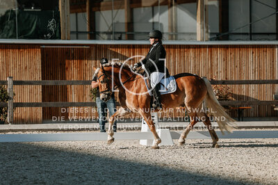 © Niki Buchegger, turnier-fotos.at