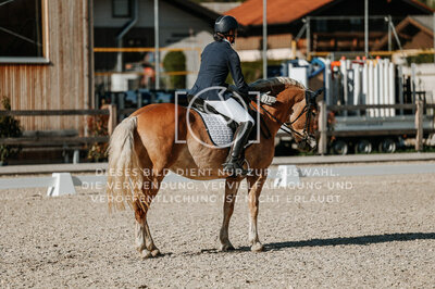 © Niki Buchegger, turnier-fotos.at