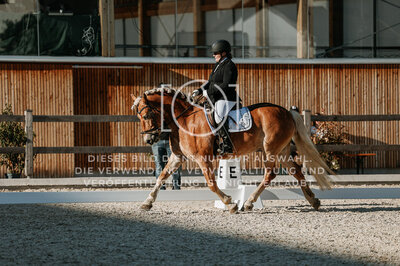 © Niki Buchegger, turnier-fotos.at