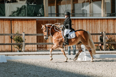 © Niki Buchegger, turnier-fotos.at