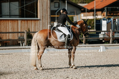 © Niki Buchegger, turnier-fotos.at