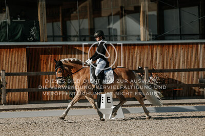 © Niki Buchegger, turnier-fotos.at
