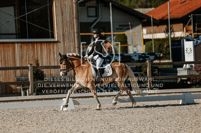 © Niki Buchegger, turnier-fotos.at