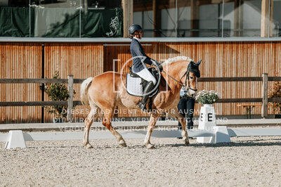 © Niki Buchegger, turnier-fotos.at
