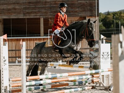© Niki Buchegger, turnier-fotos.at