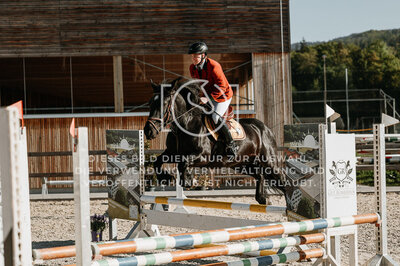 © Niki Buchegger, turnier-fotos.at