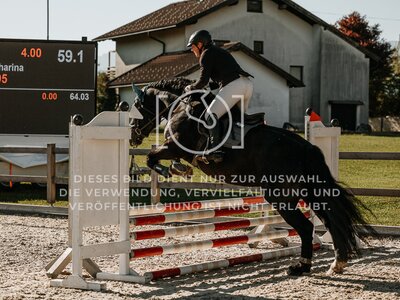 © Niki Buchegger, turnier-fotos.at
