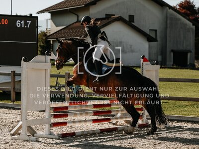© Niki Buchegger, turnier-fotos.at