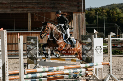 © Niki Buchegger, turnier-fotos.at