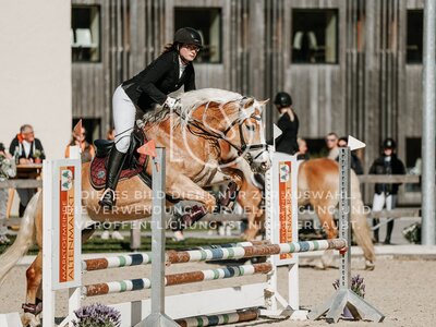 © Niki Buchegger, turnier-fotos.at