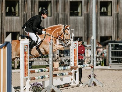 © Niki Buchegger, turnier-fotos.at