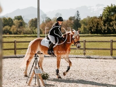 © Niki Buchegger, turnier-fotos.at