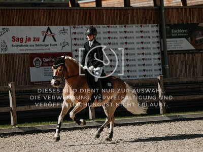 © Niki Buchegger, turnier-fotos.at
